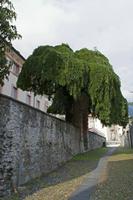 Cjp_2015_09_27_141912.jpg