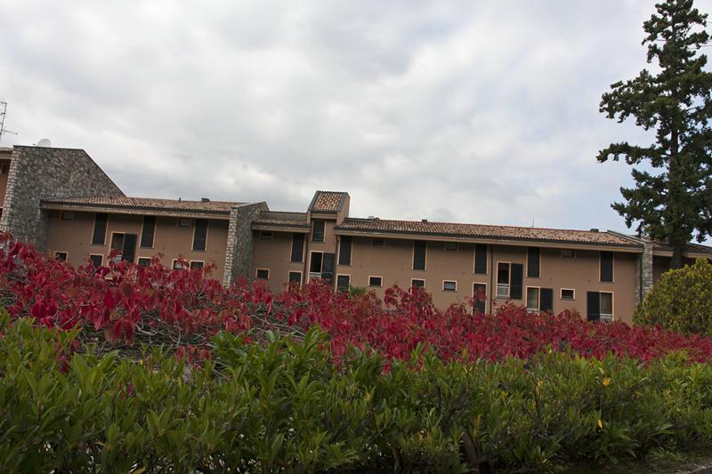 Cjp_2015_09_28_140318.jpg