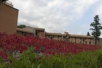 Cjp_2015_09_28_140350.jpg