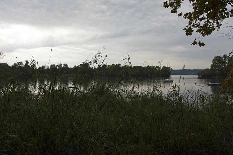 Cjp_2015_09_29_082024.jpg