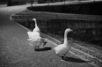 Cjp_2015_09_28_174804.jpg