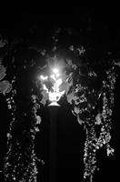 Cjp_2015_09_28_175152.jpg