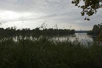Cjp_2015_09_29_082024.jpg