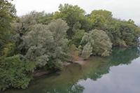 Cjp_2015_09_29_112640.jpg