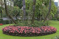 Cjp_2015_09_29_152008.jpg