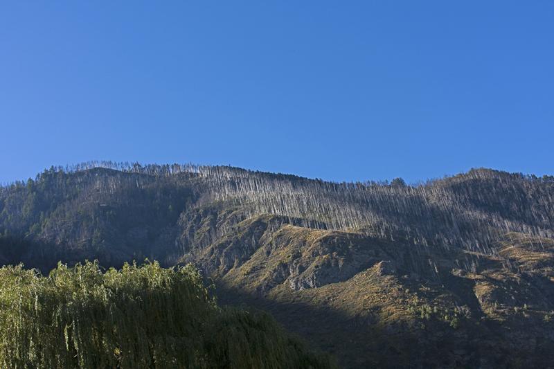Cjp_2015_09_30_082454.jpg