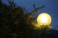 Cjp_2015_09_29_172930.jpg
