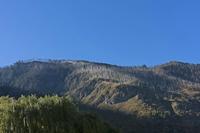 Cjp_2015_09_30_082454.jpg