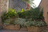 Cjp_2015_10_01_073138.jpg