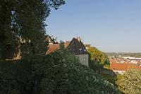 Cjp_2015_10_01_074044.jpg
