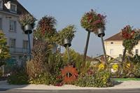 Cjp_2015_10_01_075134.jpg