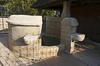 Cjp_2015_10_01_075448.jpg