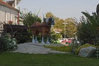 Cjp_2015_10_01_082542.jpg
