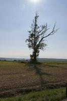 Cjp_2015_10_01_114548.jpg