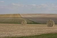 Cjp_2015_10_01_143110.jpg