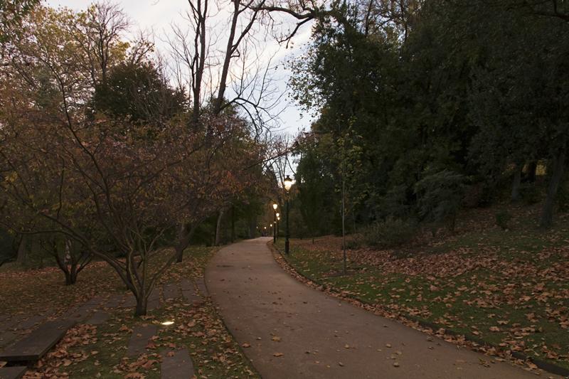 Cjp_2015_11_05_064102.jpg