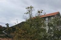 Cjp_2015_11_05_163612.jpg