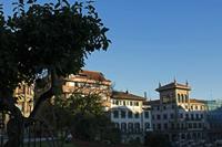 Cjp_2015_11_06_073730.jpg
