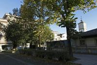 Cjp_2015_11_06_075130.jpg