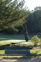 Cjp_2015_11_06_080800.jpg