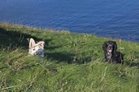 Cjp_2015_11_06_094358.jpg