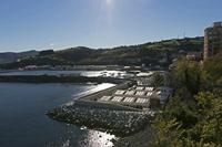 Cjp_2015_11_06_095736.jpg