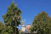 Cjp_2015_11_06_115534.jpg