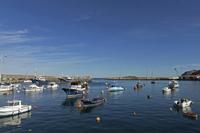 Cjp_2015_11_06_123952.jpg