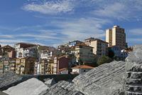 Cjp_2015_11_06_130954.jpg