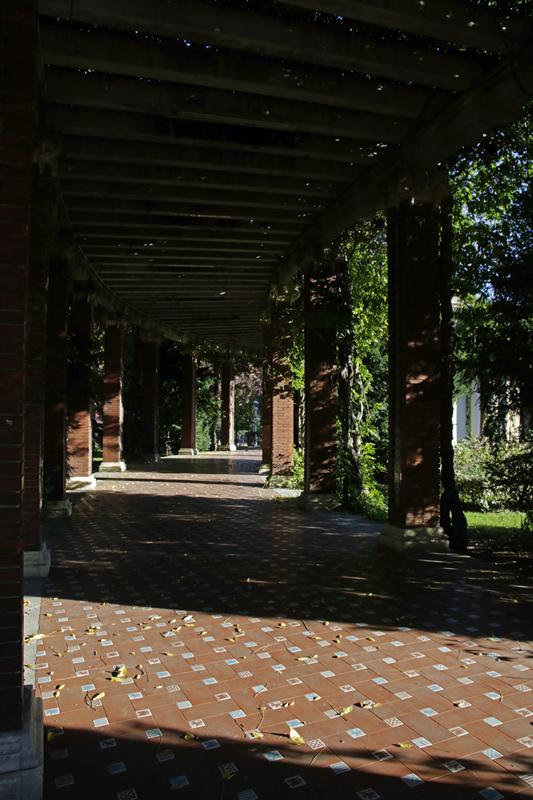 Cjp_2015_11_07_084820.jpg