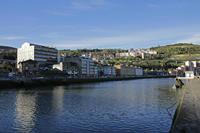 Cjp_2015_11_07_082818.jpg