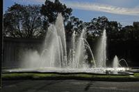 Cjp_2015_11_07_084854.jpg