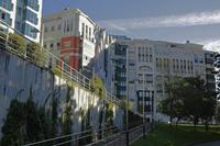 Cjp_2015_11_07_085554.jpg