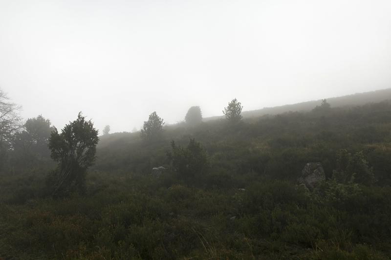 Cjp_2015_11_08_082148.jpg