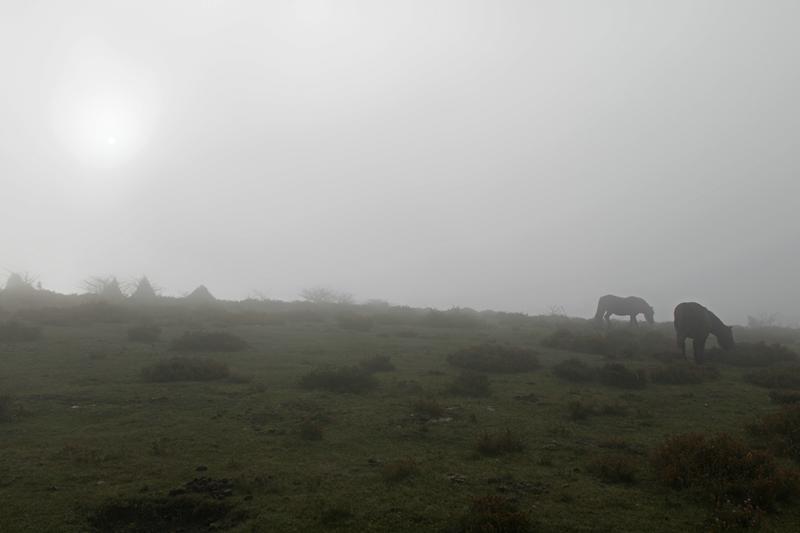 Cjp_2015_11_08_083802.jpg