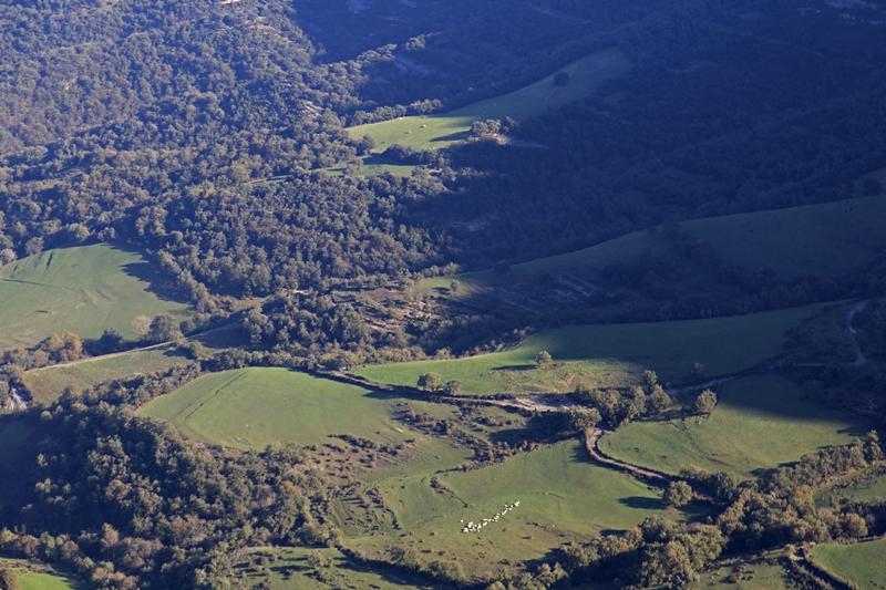 Cjp_2015_11_08_092542.jpg