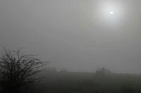Cjp_2015_11_08_083602.jpg