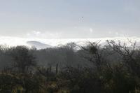Cjp_2015_11_08_084556.jpg