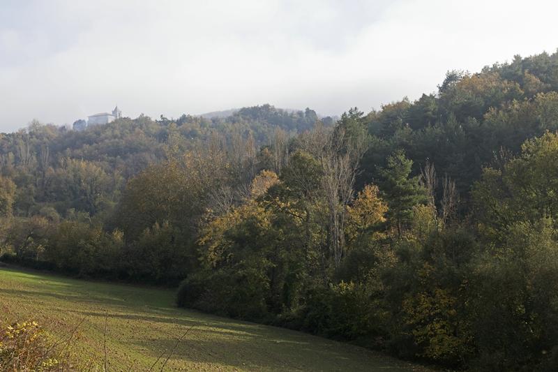 Cjp_2015_11_08_142606.jpg
