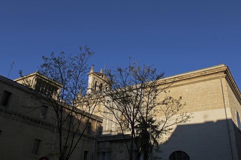 Cjp_2015_11_08_154804.jpg