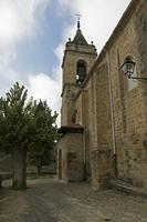 Cjp_2015_11_08_133330.jpg