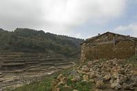 Cjp_2015_11_08_134338.jpg