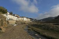 Cjp_2015_11_08_140210.jpg