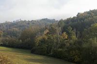 Cjp_2015_11_08_142606.jpg
