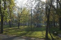 Cjp_2015_11_08_151200.jpg