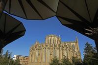 Cjp_2015_11_08_152204.jpg