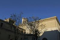 Cjp_2015_11_08_154804.jpg