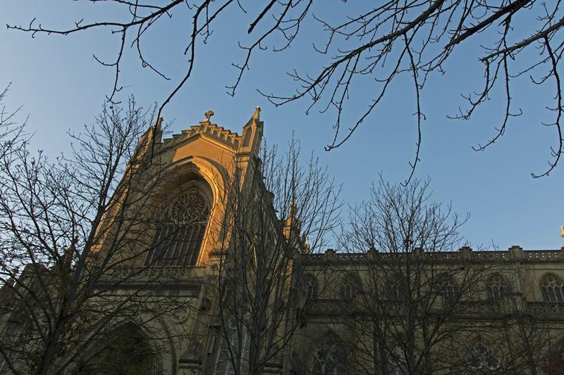 Cjp_2015_11_08_163454.jpg