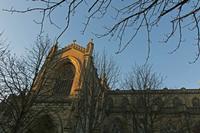 Cjp_2015_11_08_163454.jpg