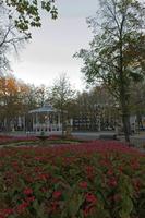 Cjp_2015_11_08_163620.jpg